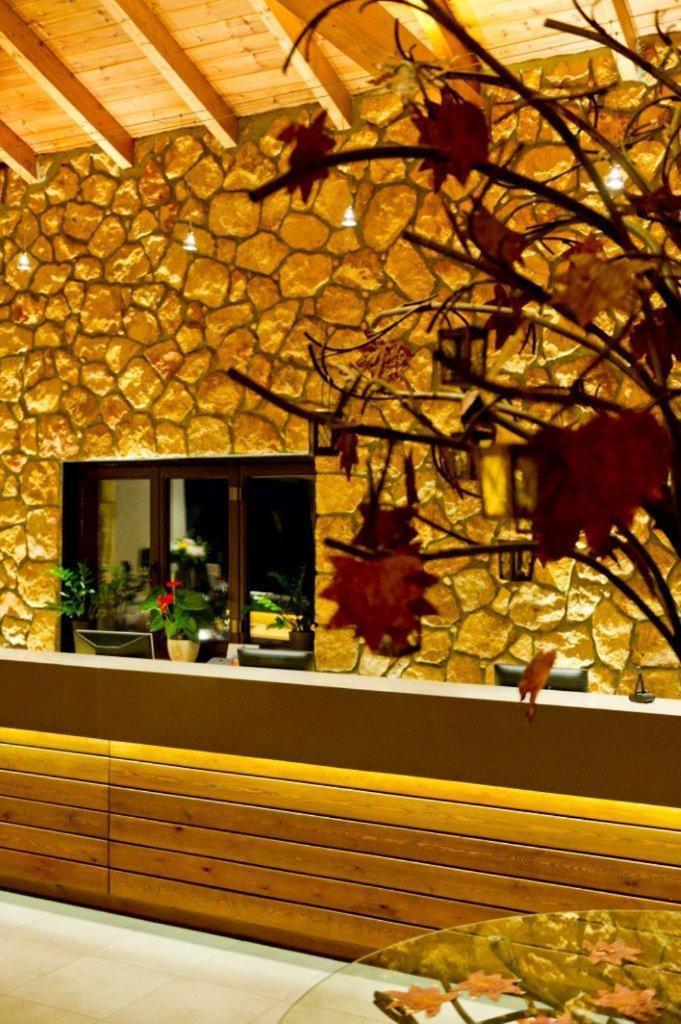 Pliadon Gi Mountain Resort & Spa Kato Sinikia Trikalon Exterior photo